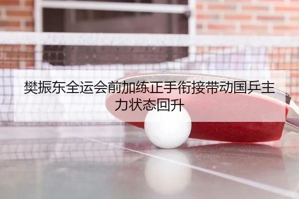 樊振东全运会前加练正手衔接带动国乒主力状态回升